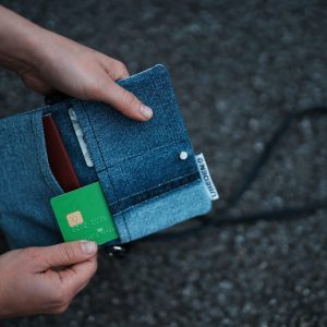 Passport & Card Holder 02PHL