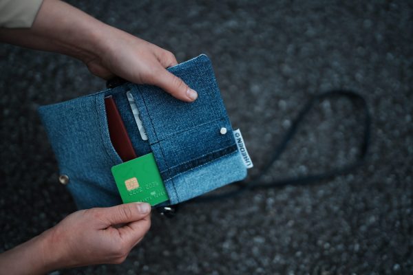 Passport & Card Holder 02PHL